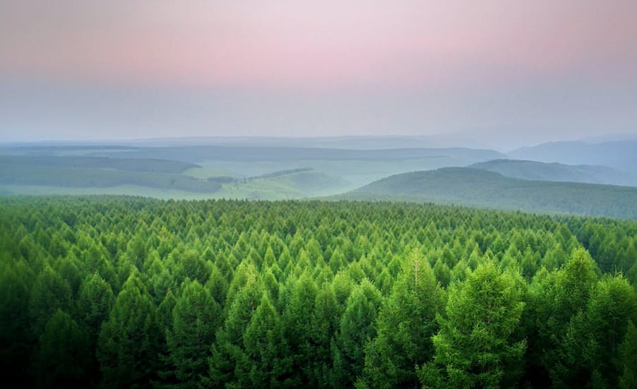 Carbon neutral consumables news image